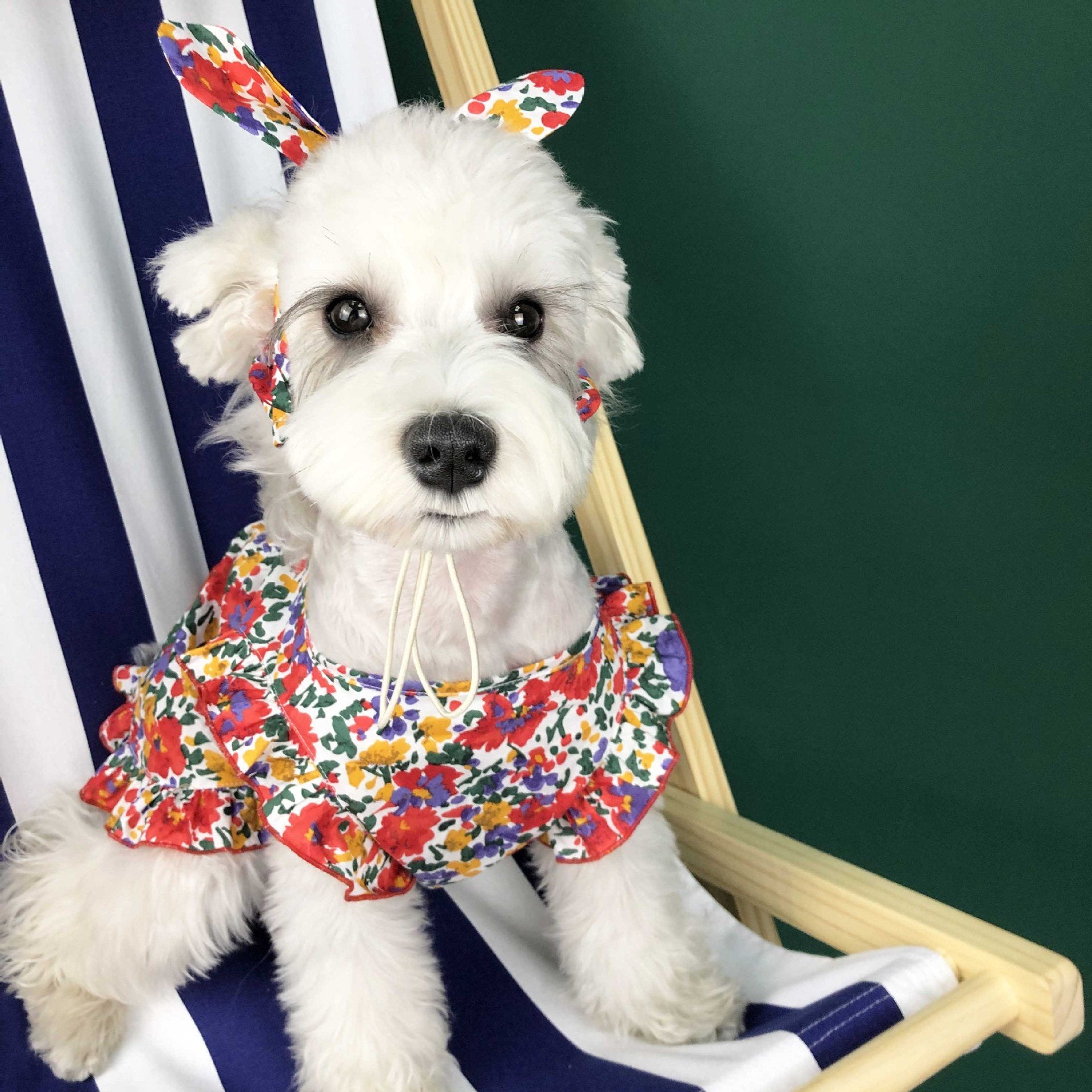 SunnyPup Summer Dress