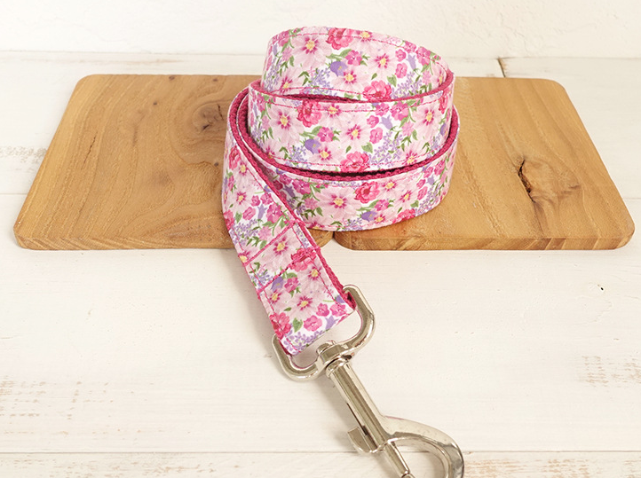 BlushWalk Collar & Leash Set