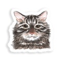 Albert Sticker