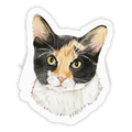 Mooney Sticker