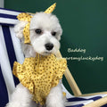 SunnyPup Summer Dress