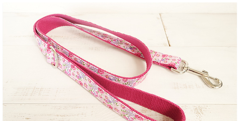 BlushWalk Collar & Leash Set