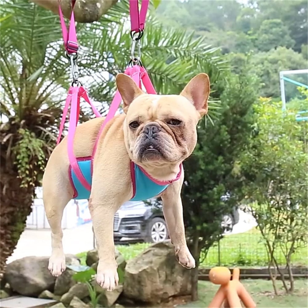 CalmTrim Grooming Hammock