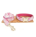 BlushWalk Collar & Leash Set