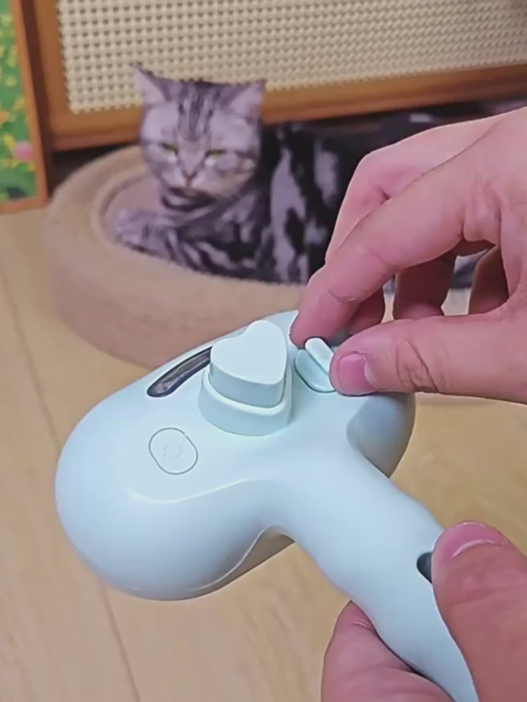 MistyPaw 3-in-1 Steam Grooming Brush