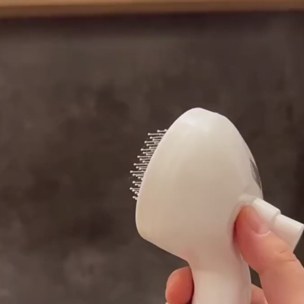 MistyPaw 3-in-1 Steam Grooming Brush
